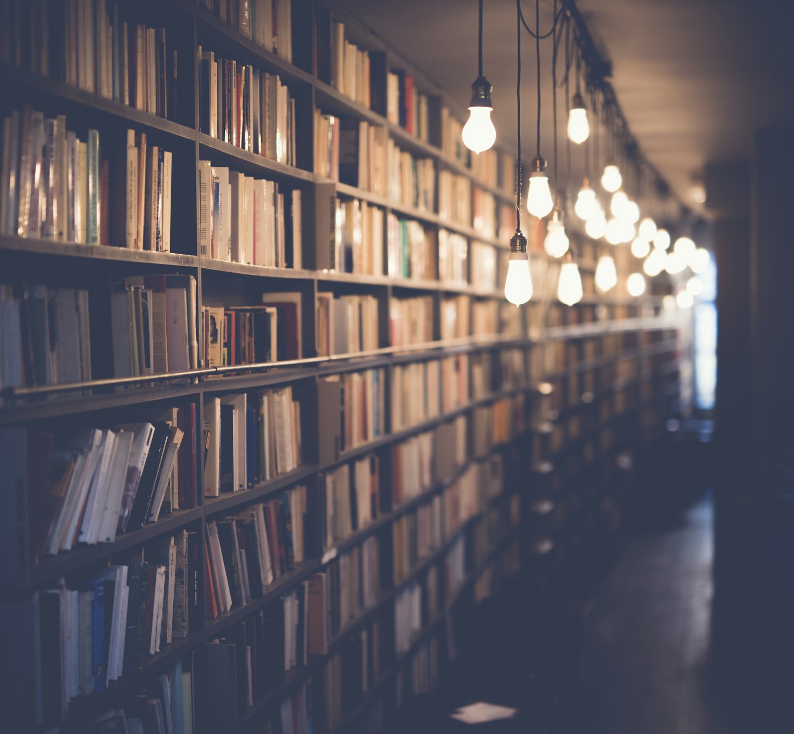 Schwach beleuchtete Bibliothek mit hohen Bücherregalen aus dunklem Holz und mehreren Edison-Glühbirnen, die in warmen Sepiatönen von der Decke hängen